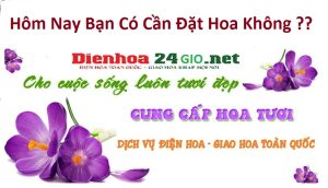shop hoa tươi huyện măng thít điện hoa online cửa hàng hoa