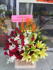Dịch vụ điện hoa Bình Tân, huyện Bình Tân, cửa hàng hoa.