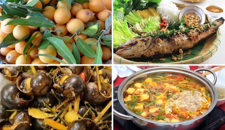 Top 8 Đặc Sản Vĩnh Long Nổi Tiếng Hấp Dẫn Và Đa Dạng